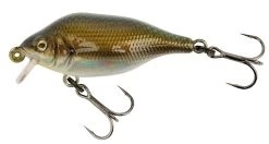 Fox Rage Funk Bug SR 4cm 4gr Floating 0-0,3m UV -Cheap Predator Pro Tackle Store 63734ee3f78315de