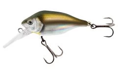 Fox Rage Funk Bug DR 5cm 7gr Floating 0-2m UV Plug -Cheap Predator Pro Tackle Store 6cf3f21492ad5a1b