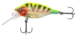 Fox Rage Funk Bug DR 5cm 7gr Floating 0-2m UV Plug -Cheap Predator Pro Tackle Store be91c2a5a506f35a