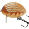 FOX RAGE Salmo Lil' Bug 2cm Floating Plug