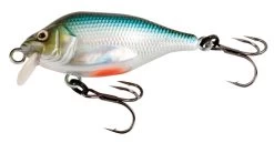 Fox Rage Funk Bug SR 4cm 4gr Floating 0-0,3m UV -Cheap Predator Pro Tackle Store d3d4e7d60350b238